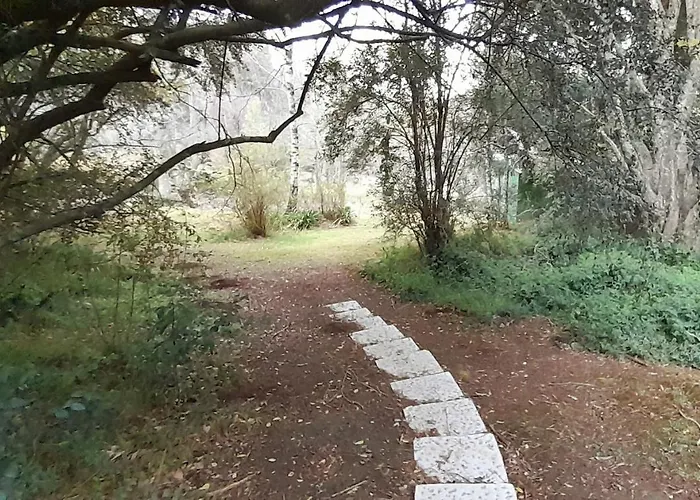 Touraco